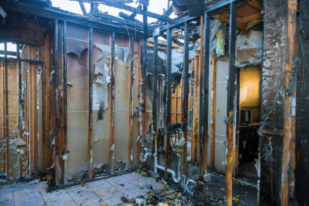 Professional Smoke Damage Removal technician working in Sonora, CA
